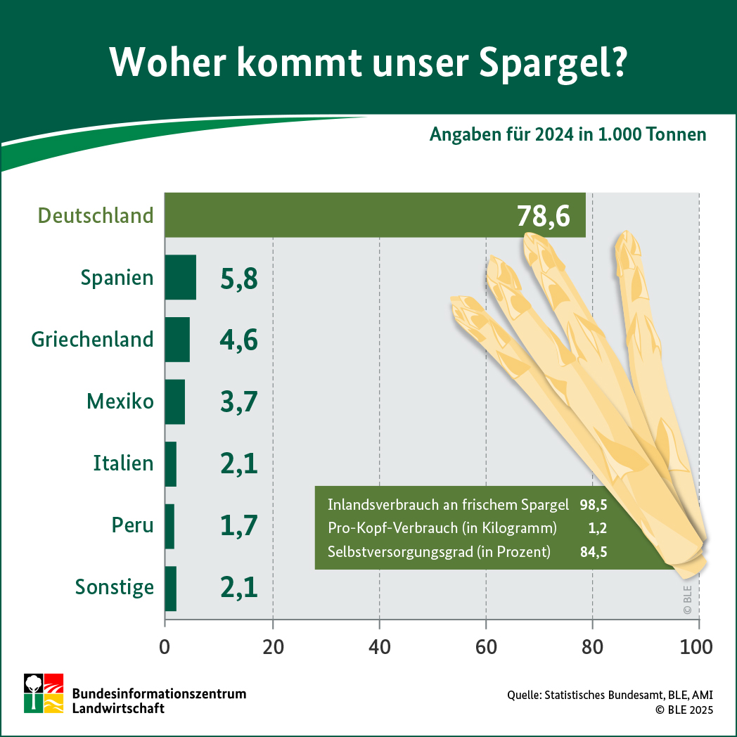 BZL-Infografik: Woher kommt unser Spargel? Angaben aus dem Jahr 2024.