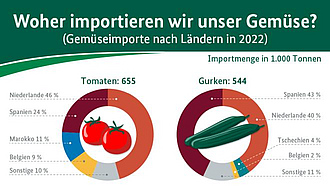 Vorschau-Teaser Infografik
