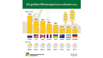 BZL-Infografik: Die größten Weizenexporteure weltweit (2020)
